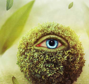 在线接收短信验证码