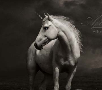 如何轰炸对方手机号