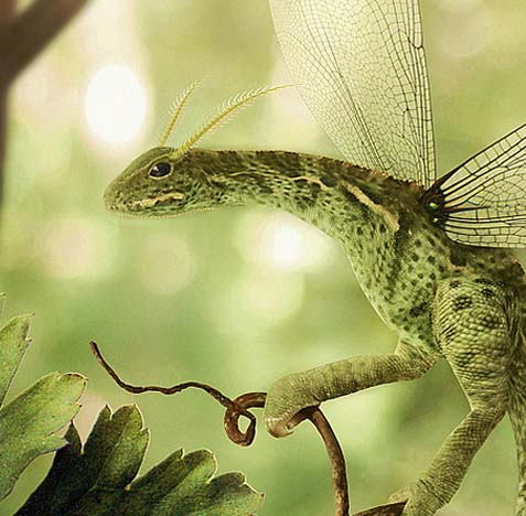 不黑号的在线电话轰炸测试