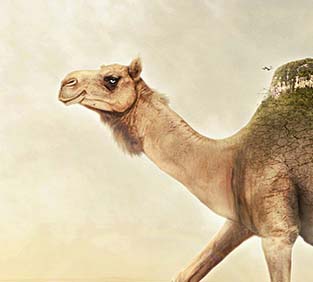 如何轰炸对方手机号